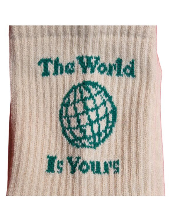 The World Is Yours Socks